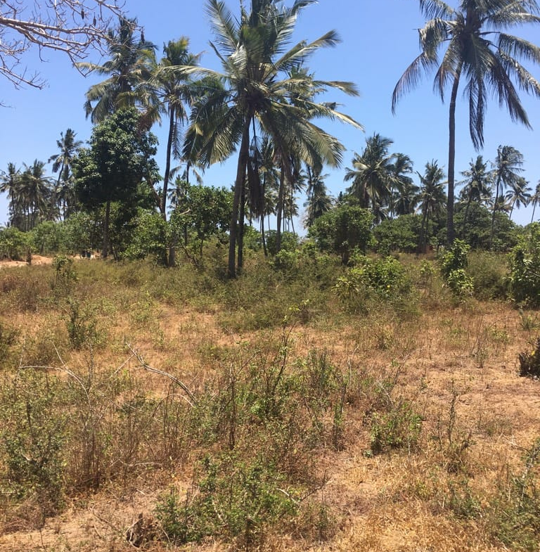 0.125 Acres for sale in Kilifi