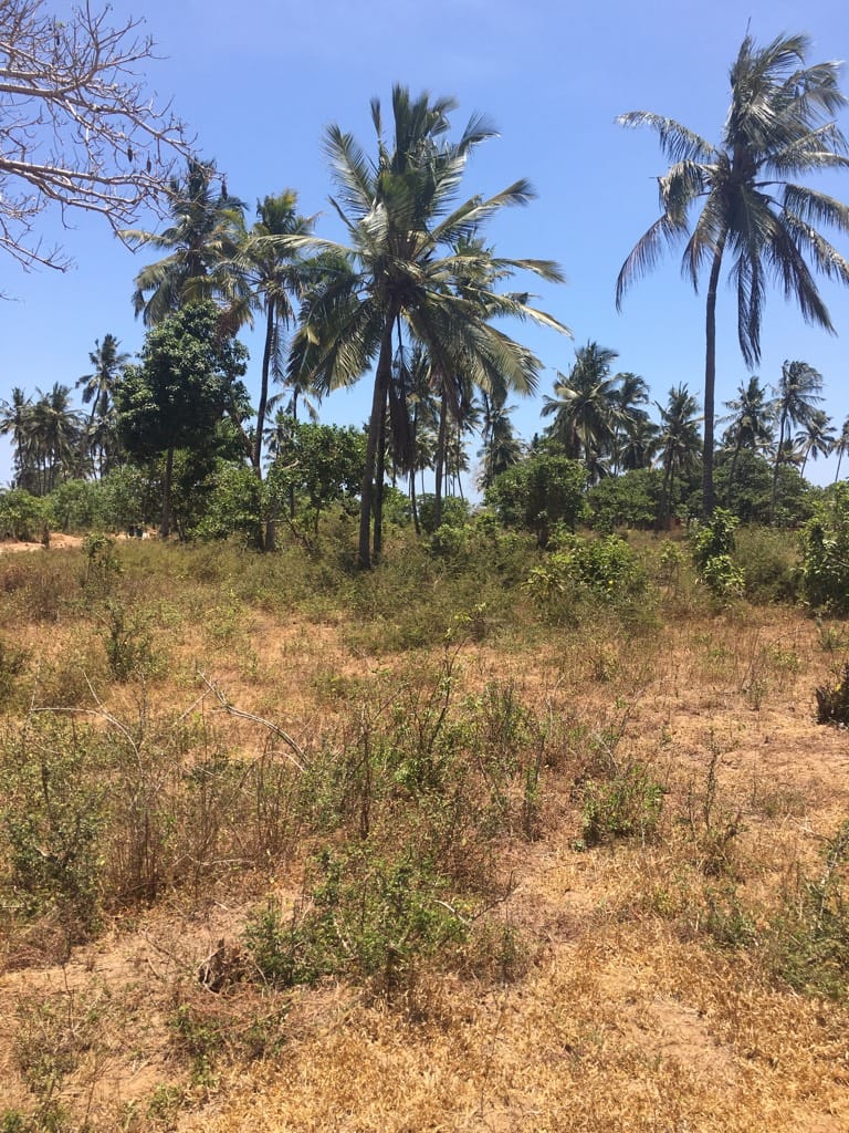 0.125 Acres for sale in Kilifi