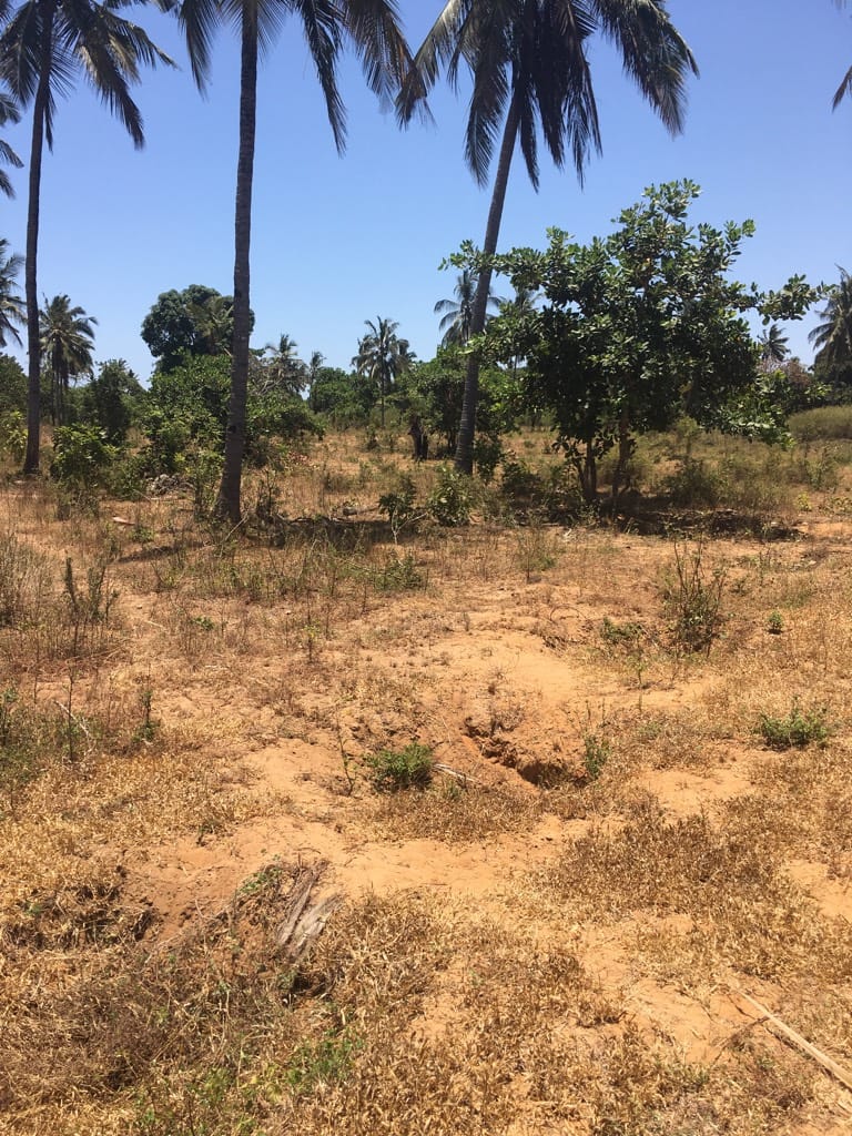 0.125 Acres for sale in Kilifi