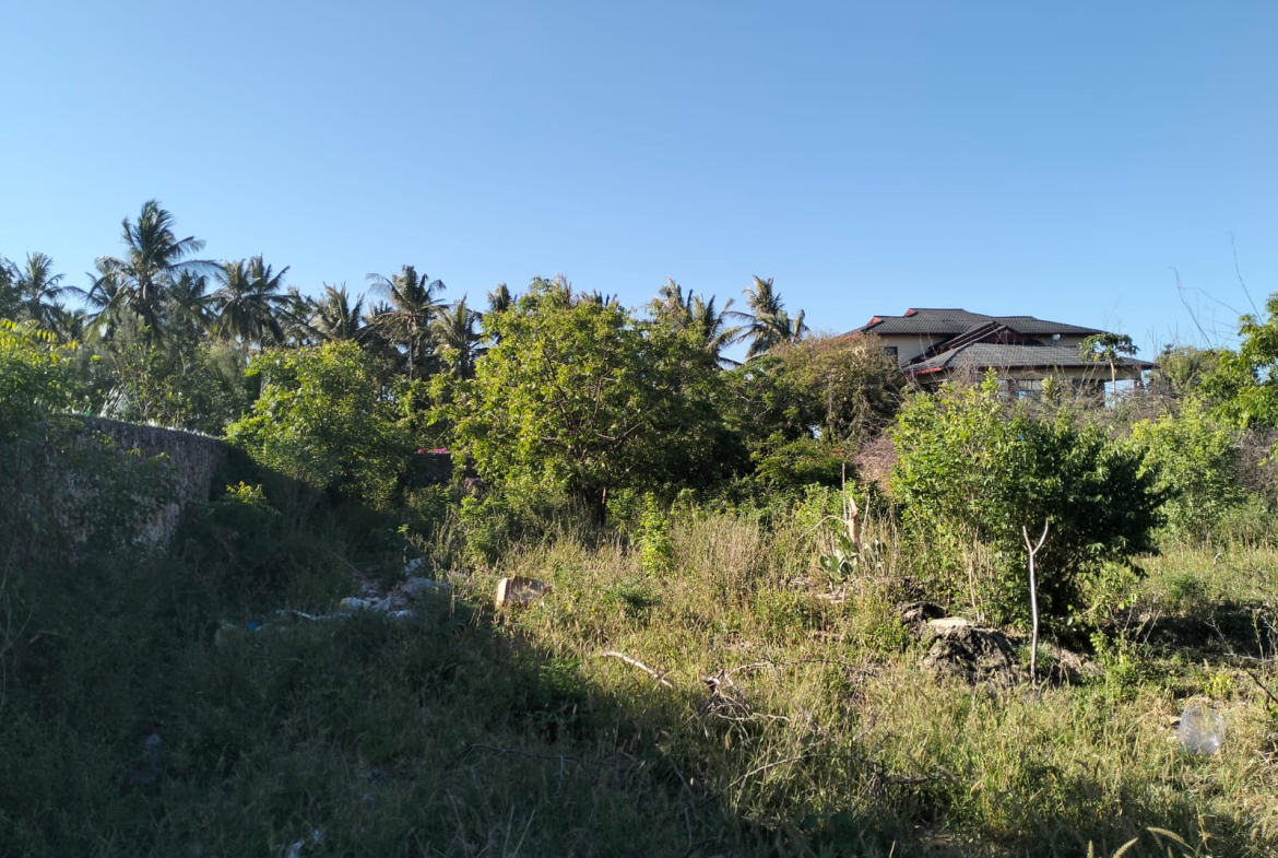 walled 0.5 acre plot for sale in Watamu