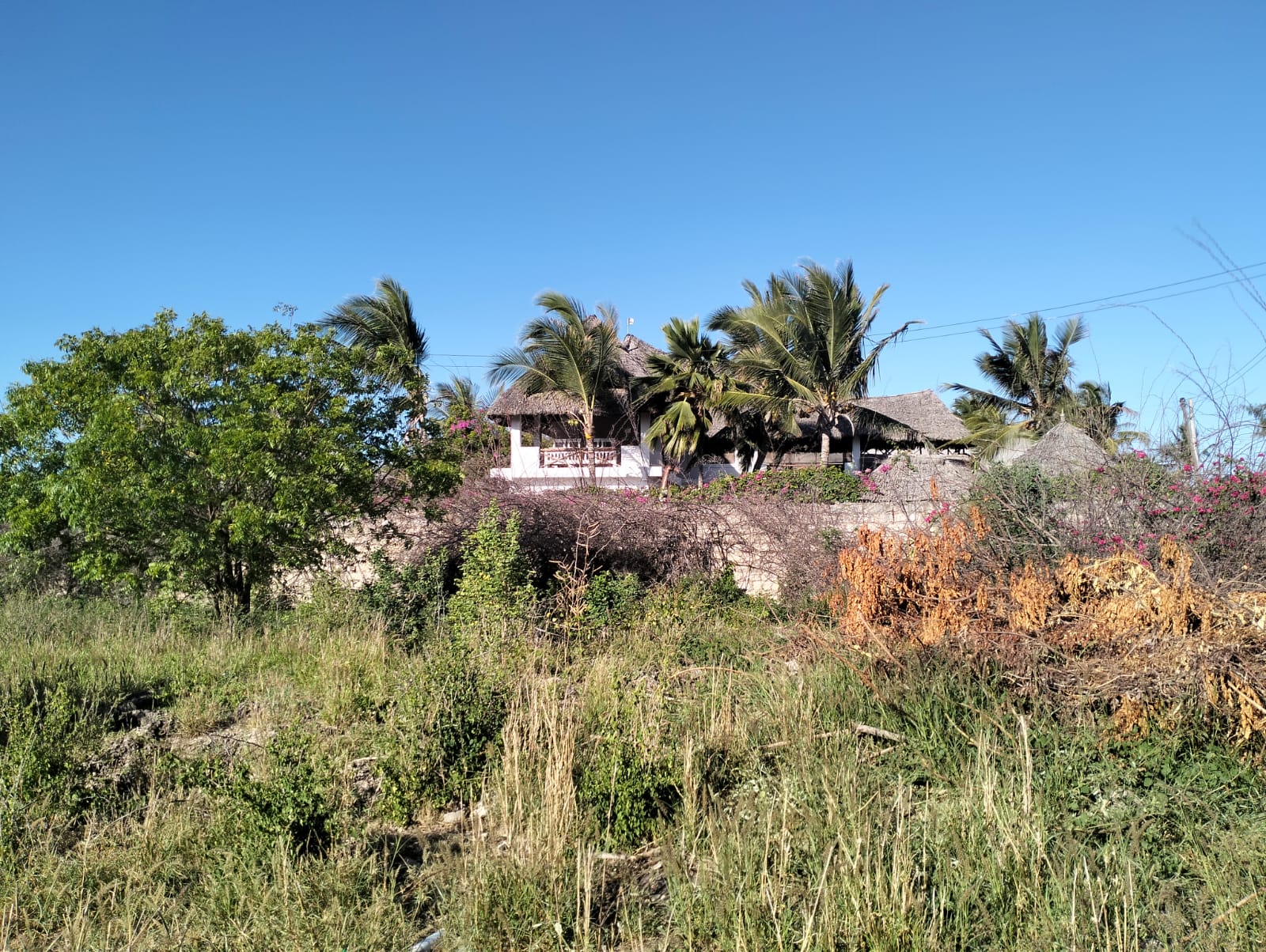 walled 0.5 acre plot for sale in Watamu