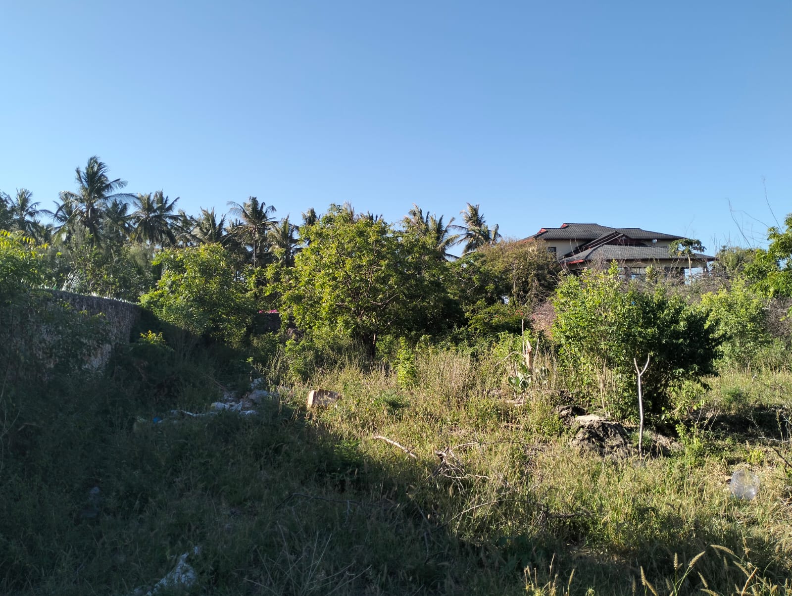 walled 0.5 acre plot for sale in Watamu