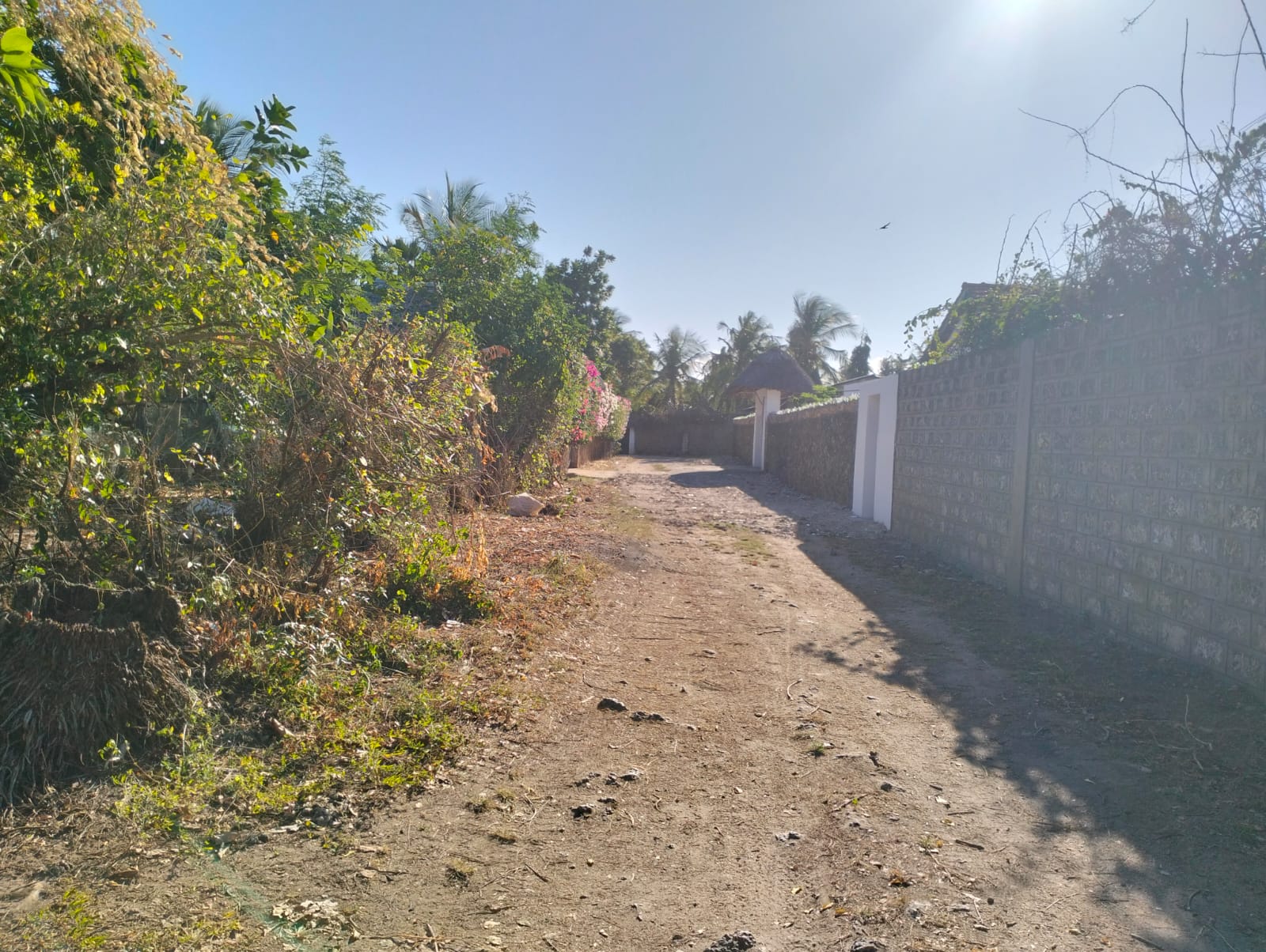 walled 0.5 acre plot for sale in Watamu