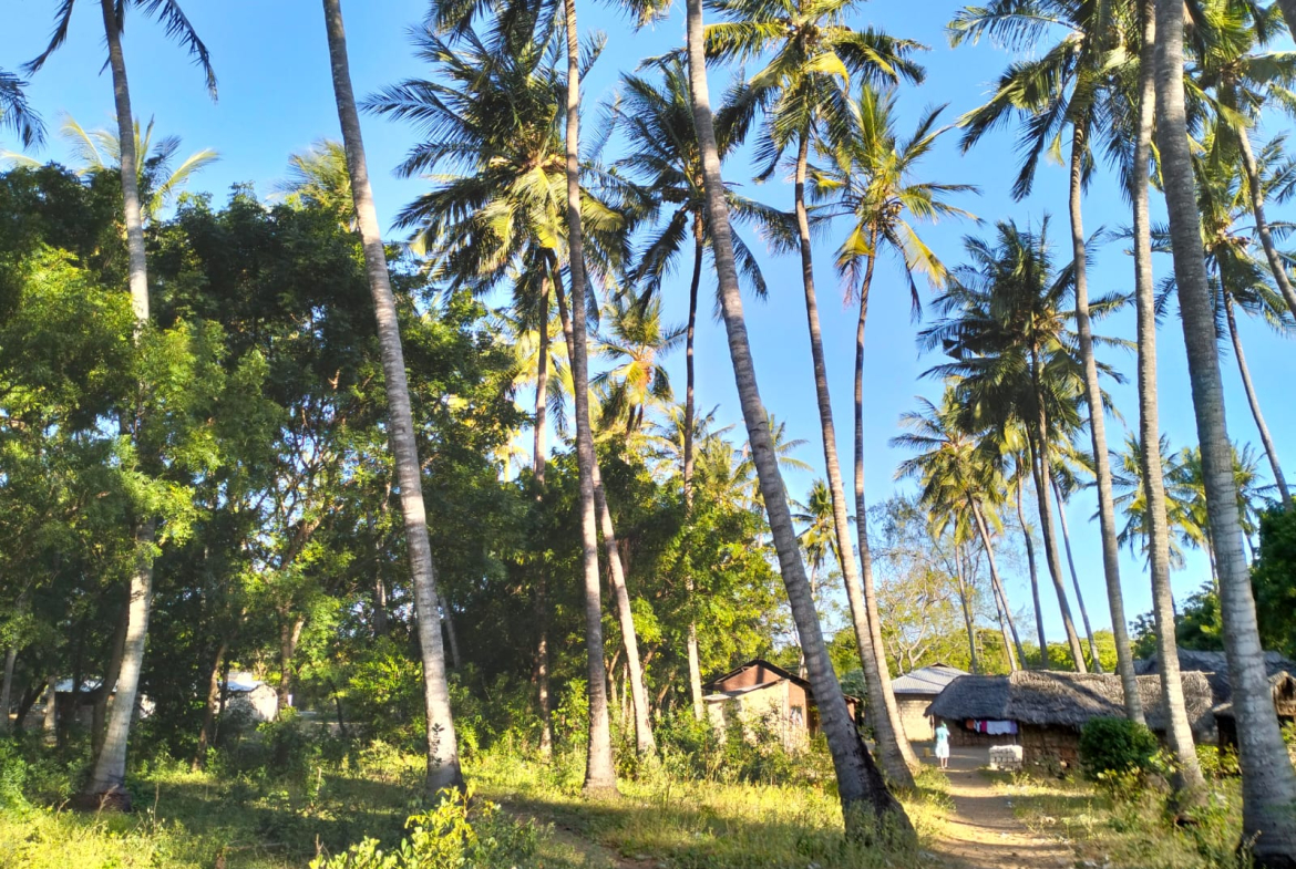 0.625 Acres for sale in Watamu near Garoda
