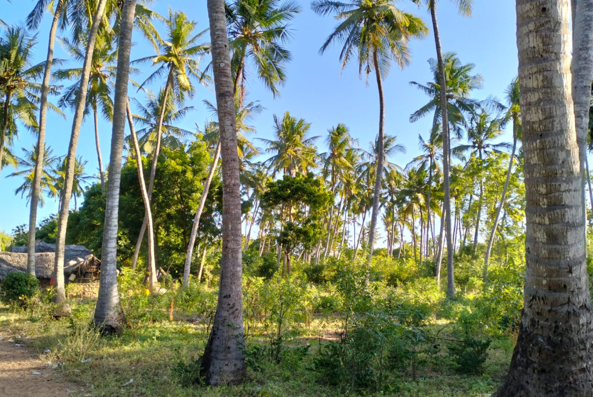 0.625 Acres for sale in Watamu near Garoda