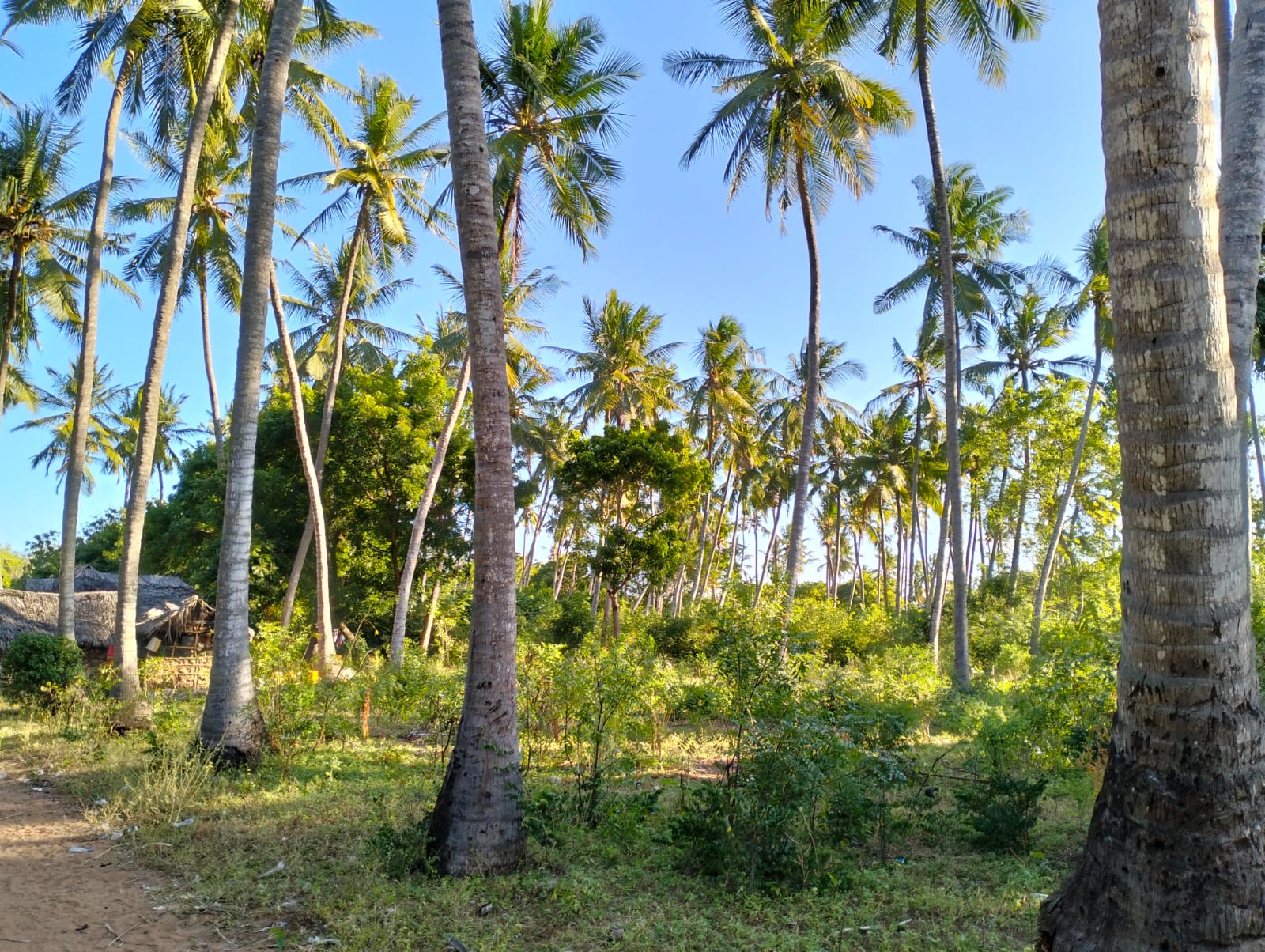 0.625 Acres for sale in Watamu near Garoda