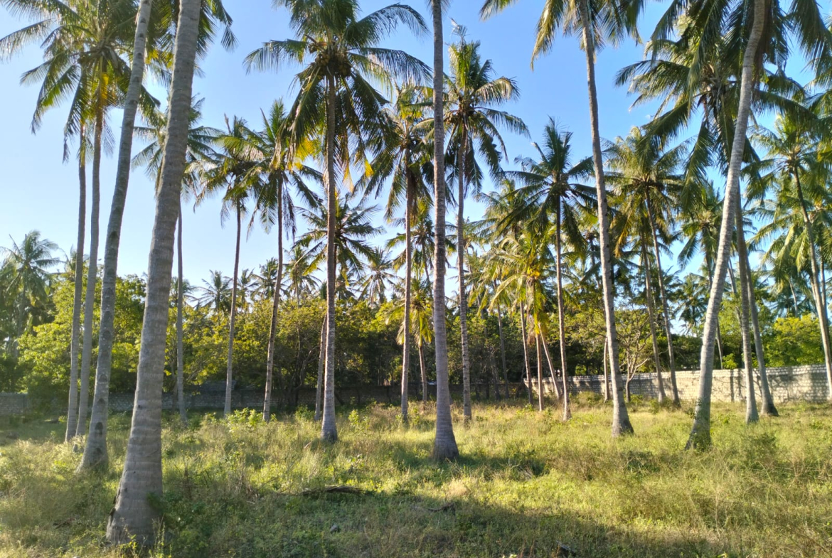 1 acre land for sale Turtle Bay Road Watamu