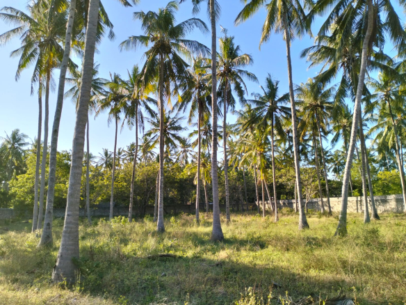 1 acre land for sale Turtle Bay Road Watamu