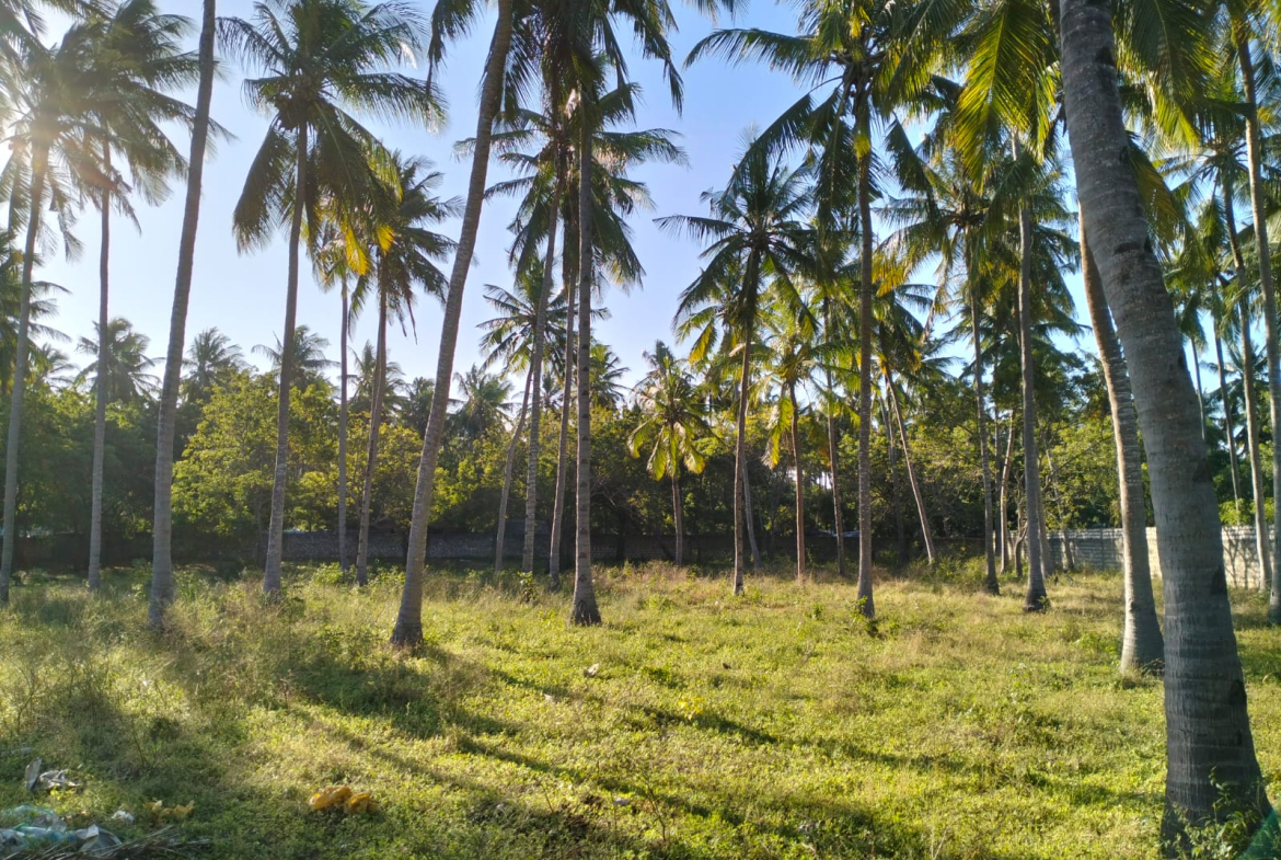 1 acre land for sale Turtle Bay Road Watamu