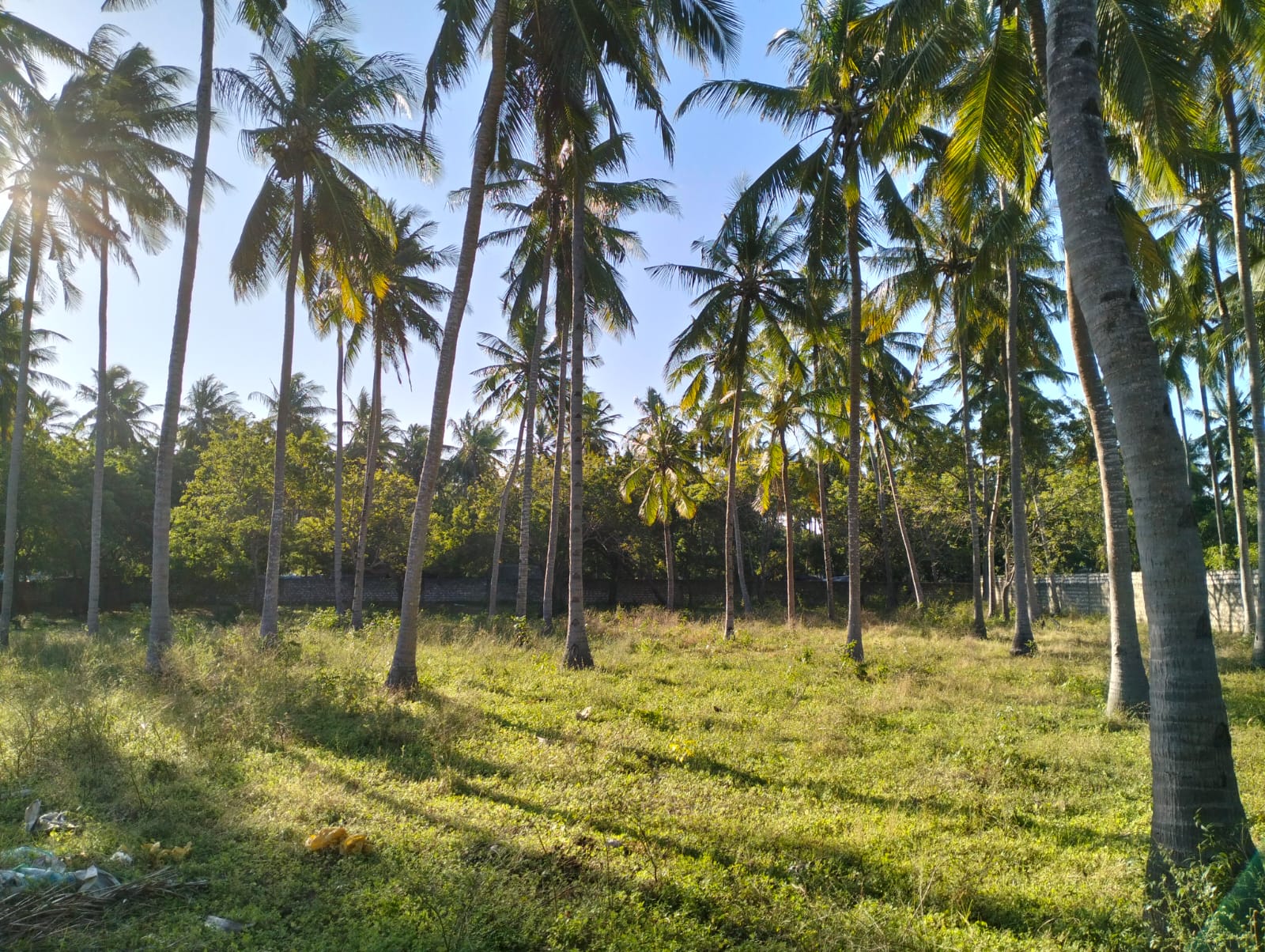 1 acre land for sale Turtle Bay Road Watamu