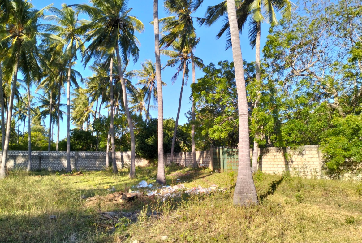 1 acre land for sale Turtle Bay Road Watamu