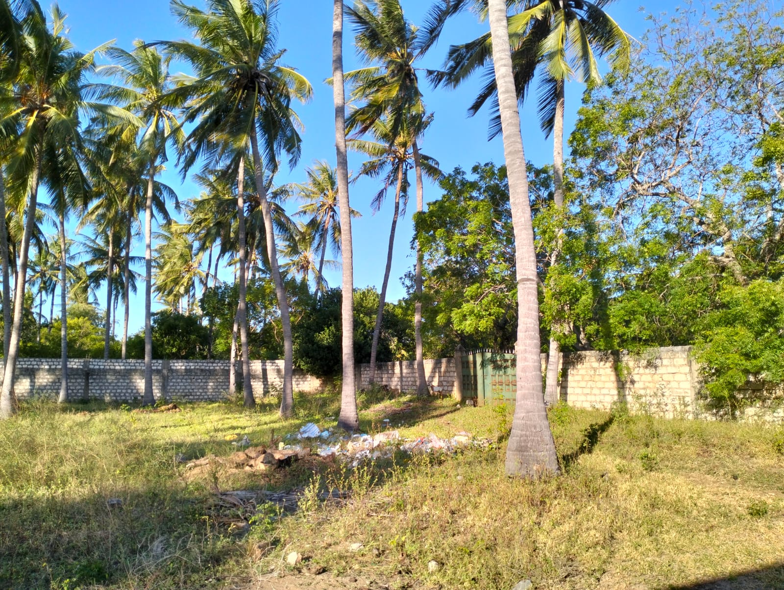 1 acre land for sale Turtle Bay Road Watamu