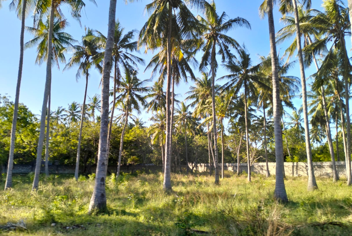 1 acre land for sale Turtle Bay Road Watamu