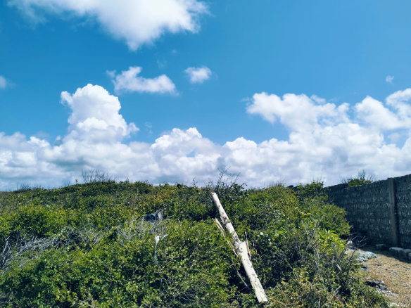 4 Acres Watamu beachfront plot for sale