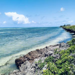 4 Acres Watamu beachfront plot for sale