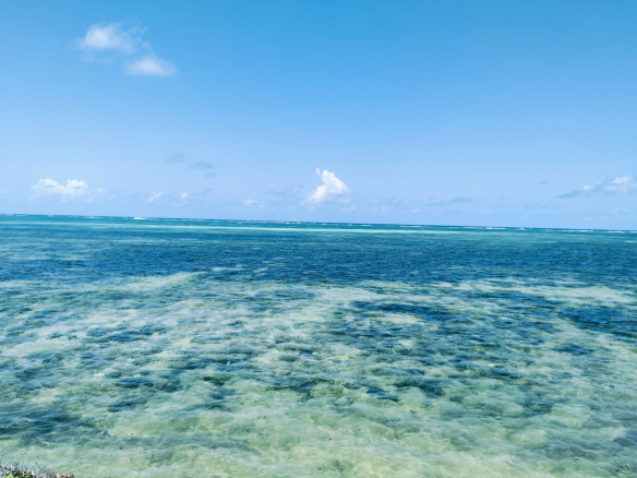 Watamu beach front plot for sale