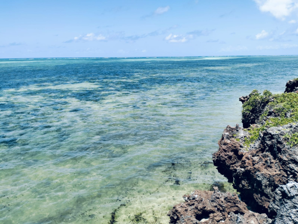 Watamu beach front plot for sale