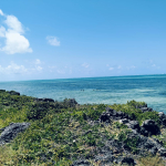 Watamu beach front plot for sale