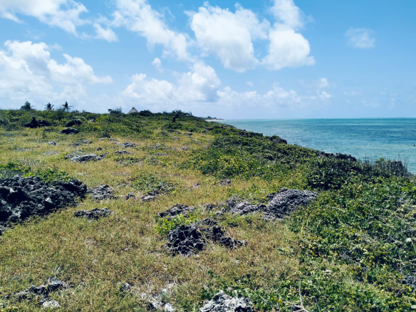 Watamu beach front plot for sale