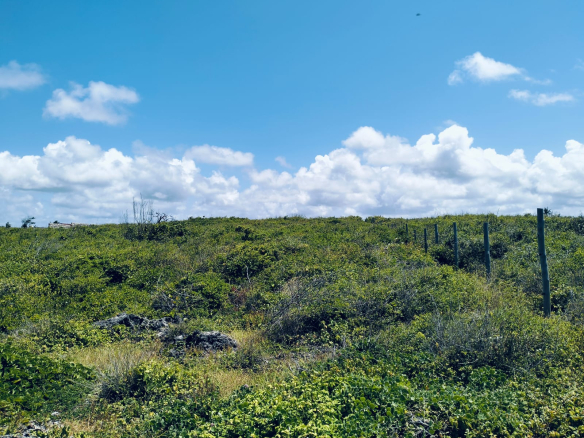 Watamu beach front plot for sale