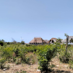 0.75 Acre for sale in Watamu