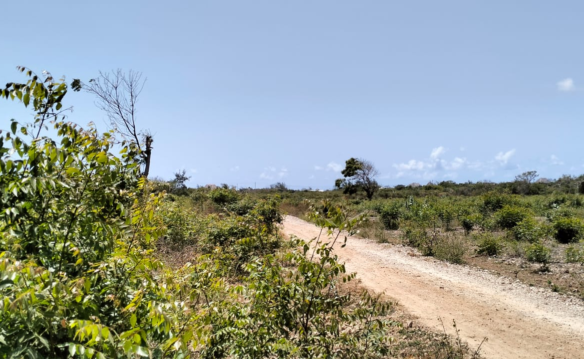 0.75 Acre for sale in Watamu