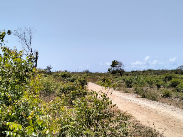 0.75 Acre for sale in Watamu