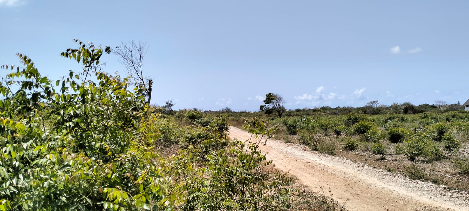 0.75 Acre for sale in Watamu