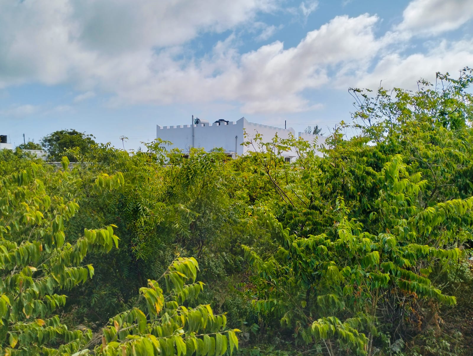 Quarter Acre for sale in Watamu