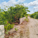 Quarter Acre for sale in Watamu