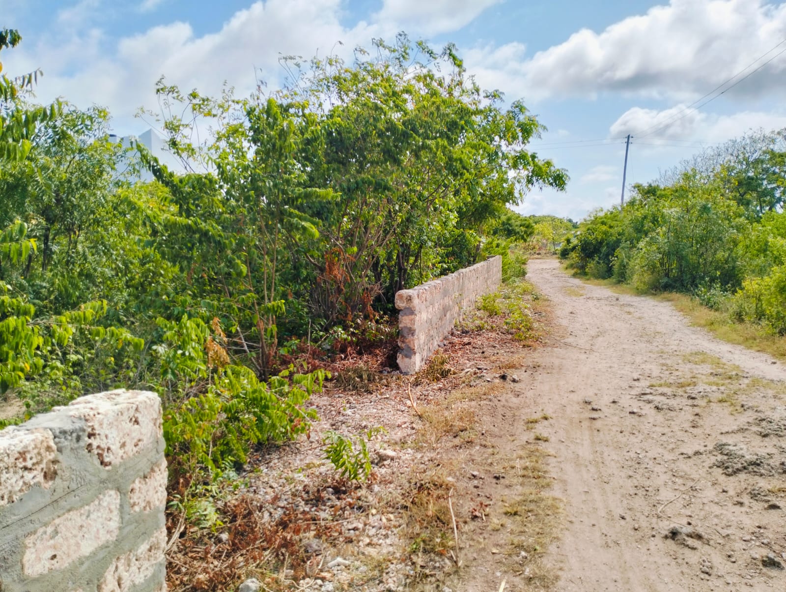 Quarter Acre for sale in Watamu