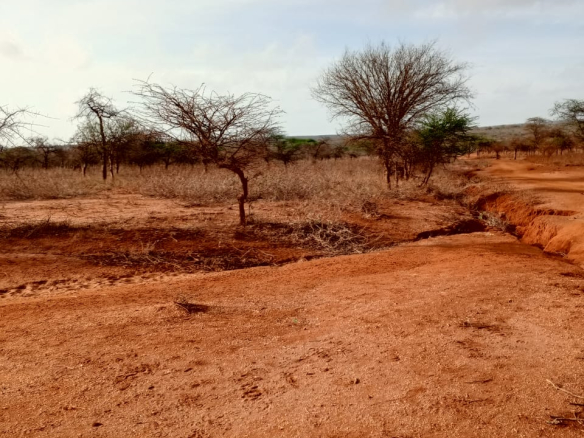 Land for sale near Amboseli National Park