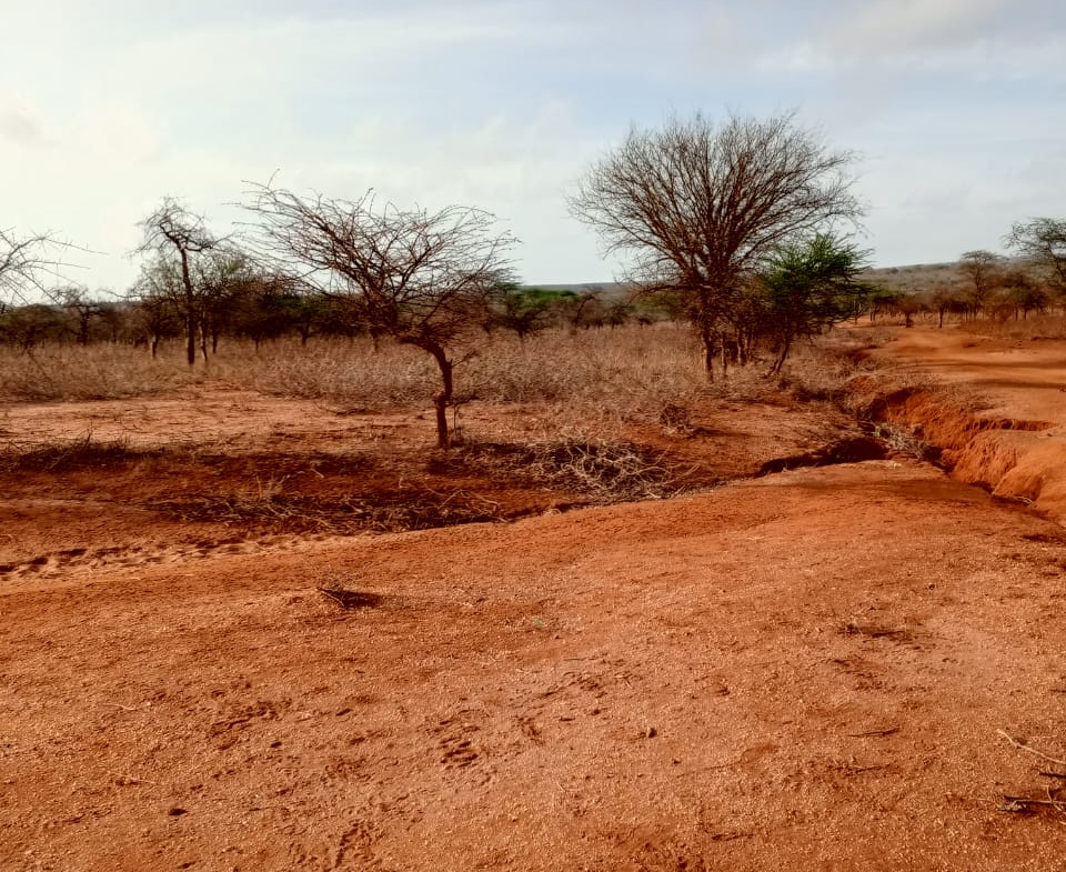 Land for sale near Amboseli National Park