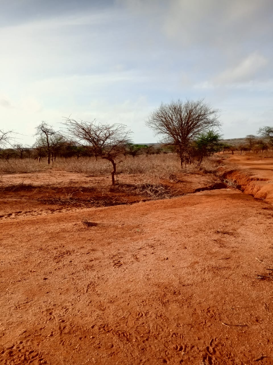 Land for sale near Amboseli National Park