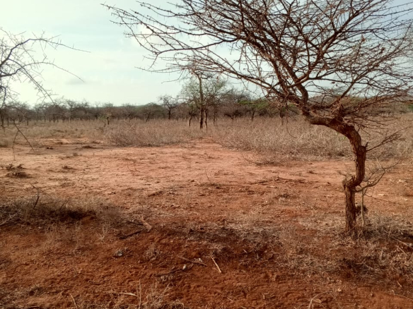 Land for sale near Amboseli National Park