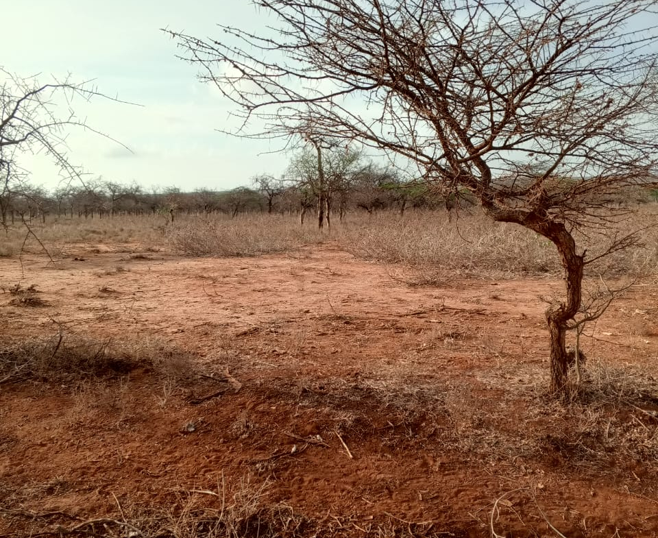 Land for sale near Amboseli National Park