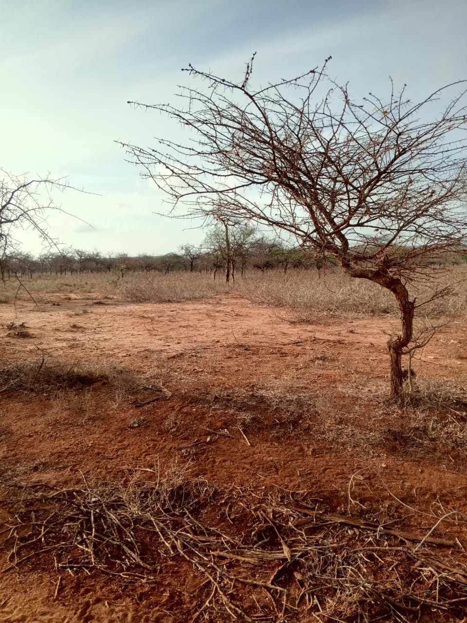 Land for sale near Amboseli National Park