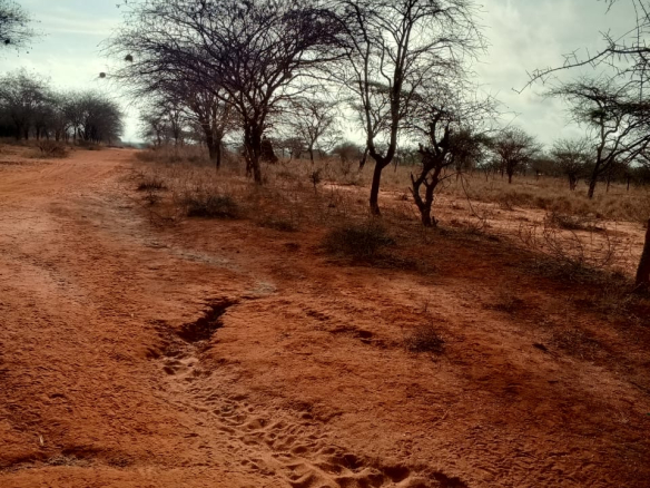 Land for sale near Amboseli National Park