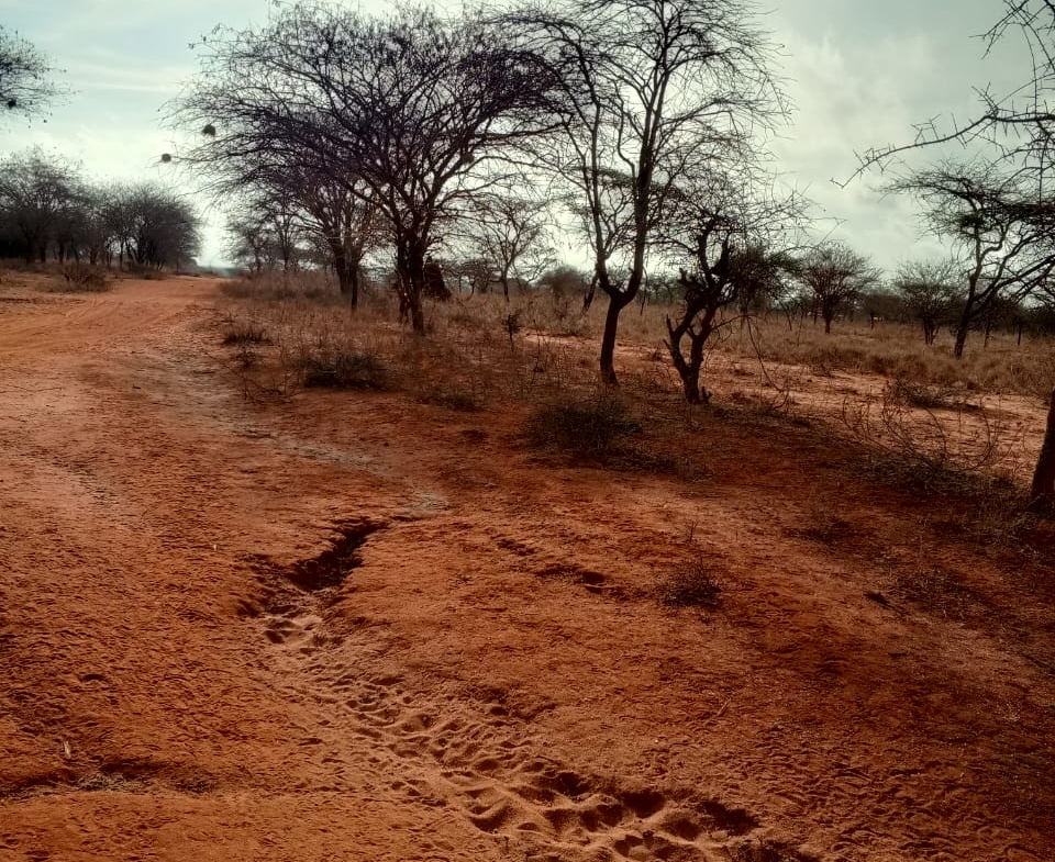 Land for sale near Amboseli National Park