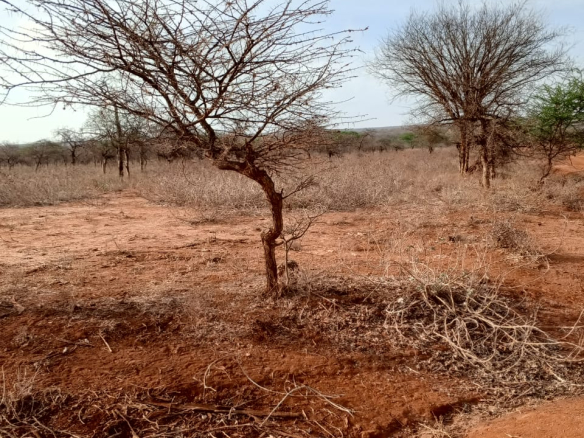 Land for sale near Amboseli National Park