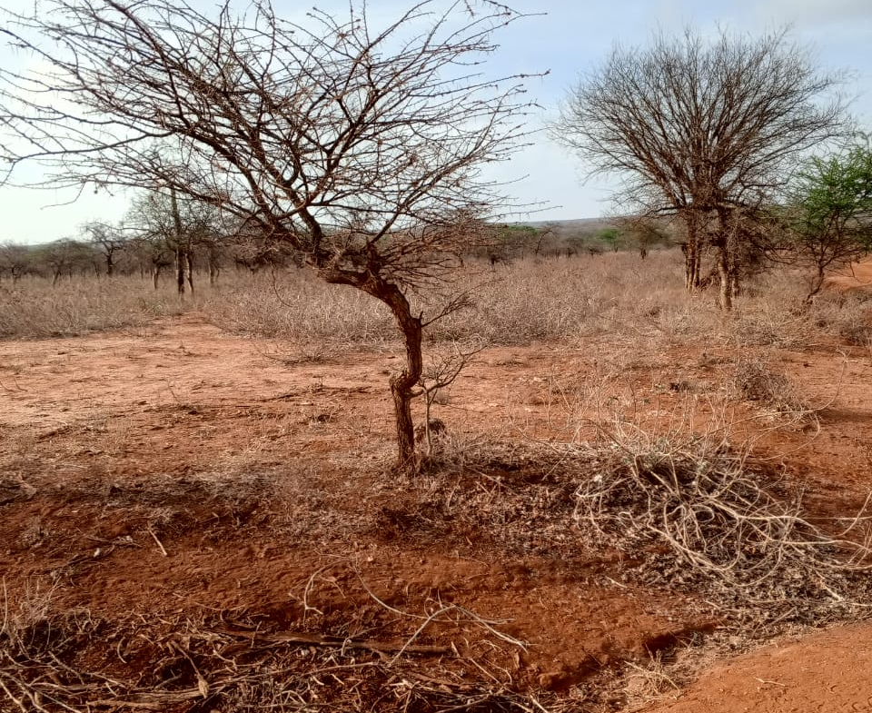 Land for sale near Amboseli National Park