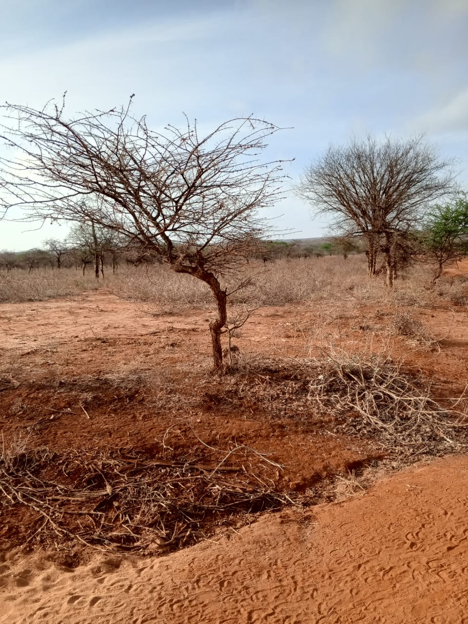 Land for sale near Amboseli National Park