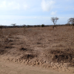 Prime land for sale in Kajiado's Email area, touching Amboseli National Park with views of Mount Kilimanjaro and Chyulu Hills. Ideal for tourism, farming, and livestock, available in 5, 10, 20, 50, and 100-acre parcels. Prices start at Ksh. 400,000 per acre with clean documents ready for transfer.