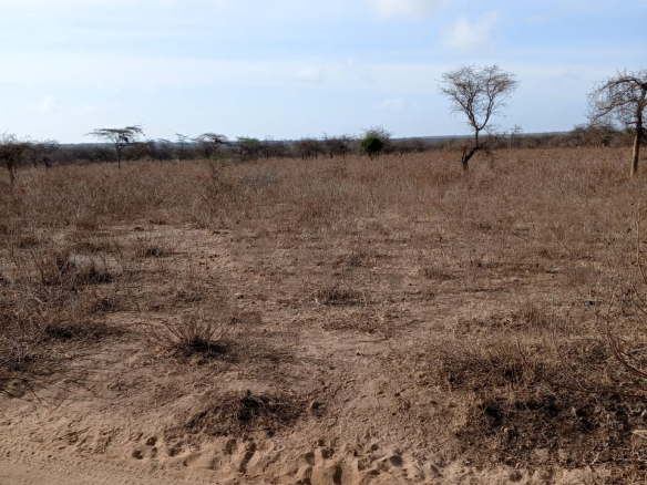 Prime land for sale in Kajiado's Email area, touching Amboseli National Park with views of Mount Kilimanjaro and Chyulu Hills. Ideal for tourism, farming, and livestock, available in 5, 10, 20, 50, and 100-acre parcels. Prices start at Ksh. 400,000 per acre with clean documents ready for transfer.