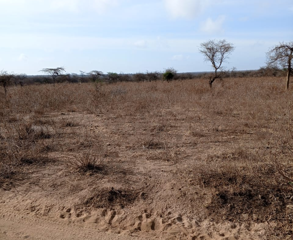 Land for sale near Amboseli National Park