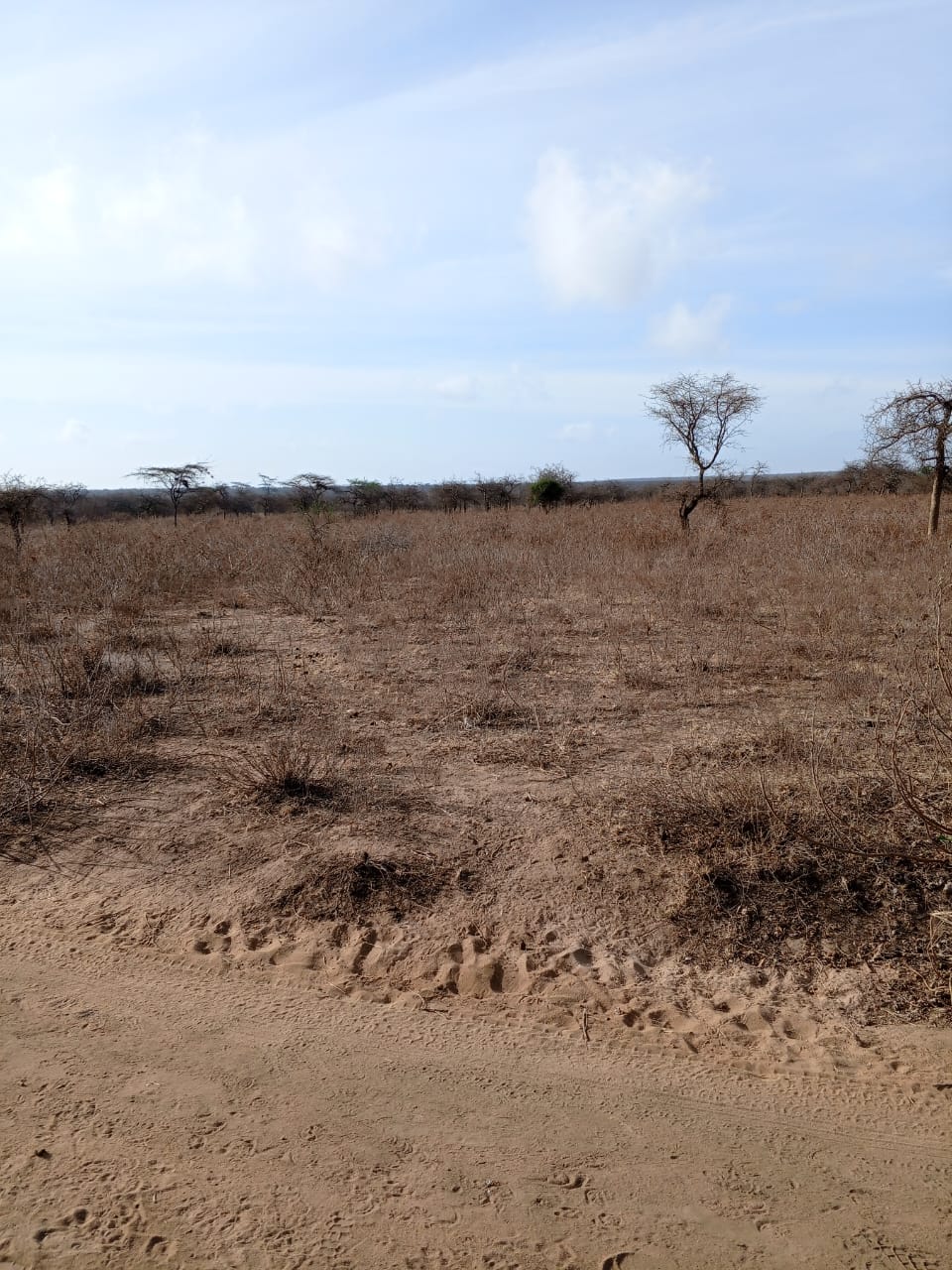 Land for sale near Amboseli National Park