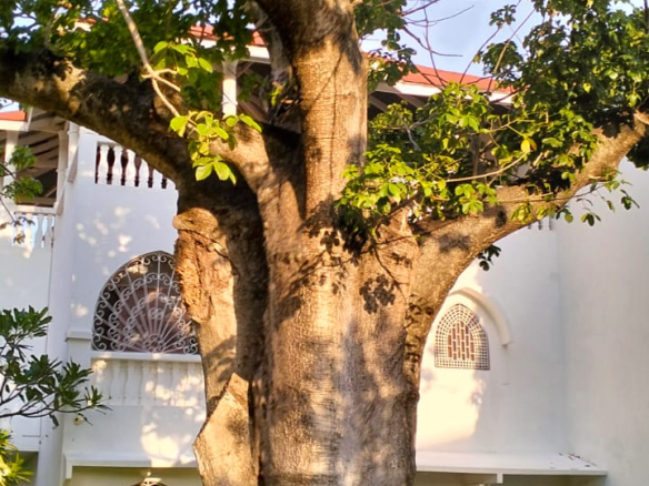 Fully furnished 2br apartment for sale in Malindi