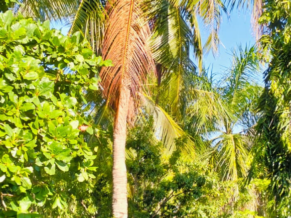 3br villa for sale in Malindi Casuarina road