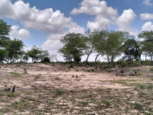 10 Acres for sale in Kakoneni