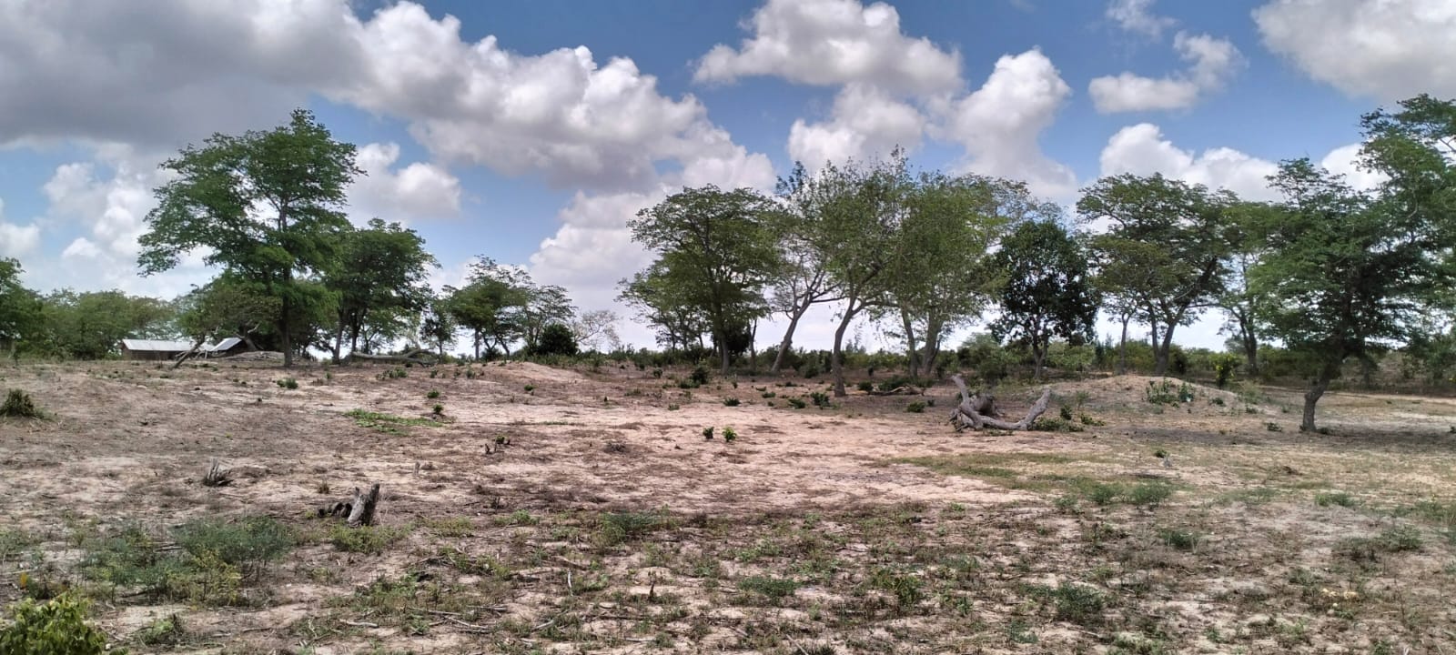 10 Acres for sale in Kakoneni